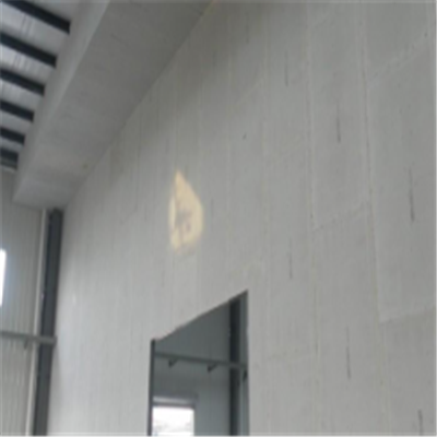白下宁波ALC板|EPS加气板隔墙与混凝土整浇联接的实验研讨